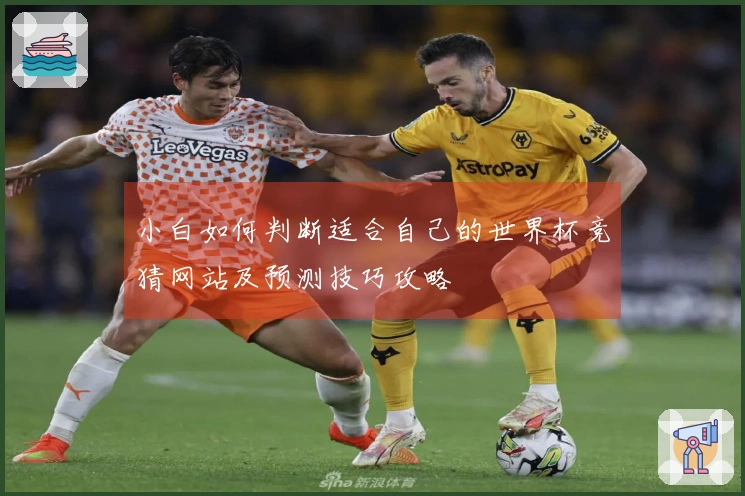小白如何判断适合自己的世界杯竞猜网站及预测技巧攻略