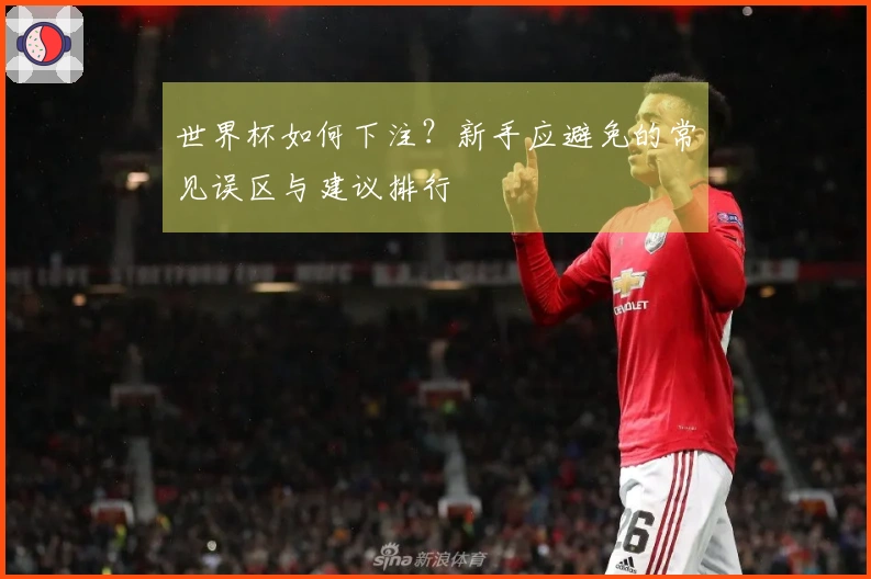 世界杯如何下注？新手应避免的常见误区与建议排行
