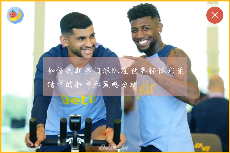 如何判断热门球队在世界杯体彩竞猜中的胜率和策略分析
