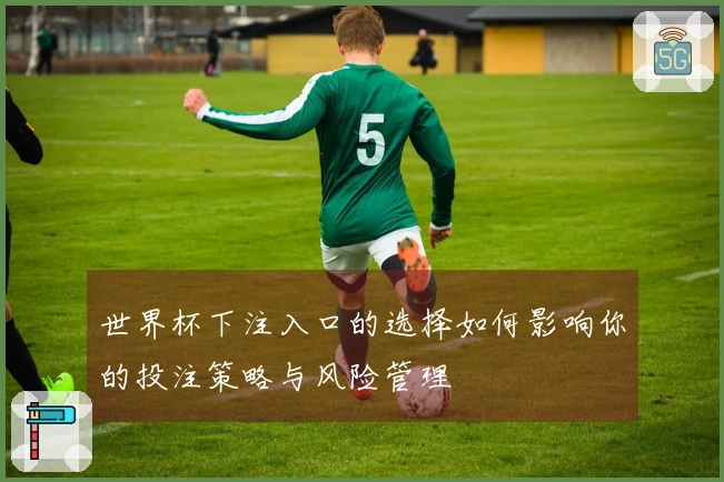 世界杯下注入口的选择如何影响你的投注策略与风险管理