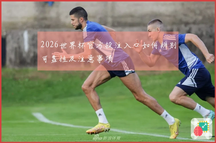 2026世界杯官方投注入口如何辨别可靠性及注意事项