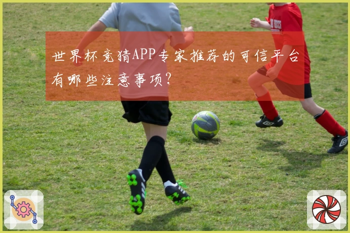 世界杯竞猜APP专家推荐的可信平台有哪些注意事项？
