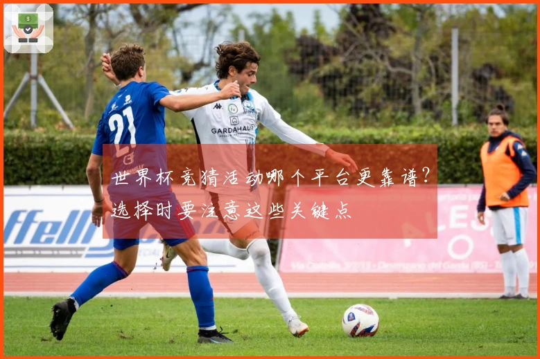 世界杯竞猜活动哪个平台更靠谱？选择时要注意这些关键点