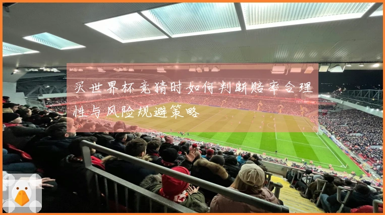 买世界杯竞猜时如何判断赔率合理性与风险规避策略
