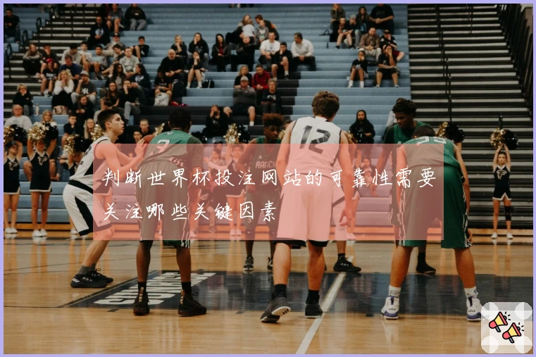 判断世界杯投注网站的可靠性需要关注哪些关键因素