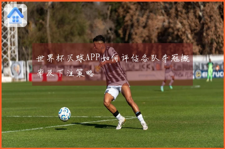 世界杯买球APP如何评估各队夺冠概率及下注策略
