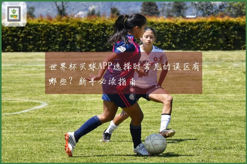 世界杯买球APP选择时常见的误区有哪些？新手必读指南