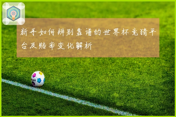 新手如何辨别靠谱的世界杯竞猜平台及赔率变化解析