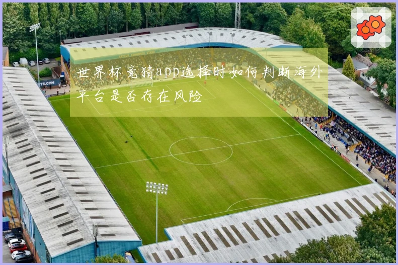 世界杯竞猜app选择时如何判断海外平台是否存在风险