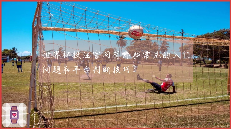 世界杯投注官网有哪些常见的入门问题和平台判断技巧？