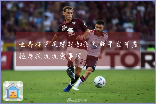 世界杯买足球时如何判断平台可靠性与投注注意事项