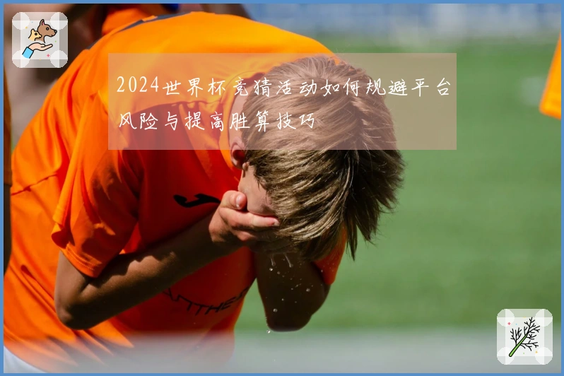2024世界杯竞猜活动如何规避平台风险与提高胜算技巧