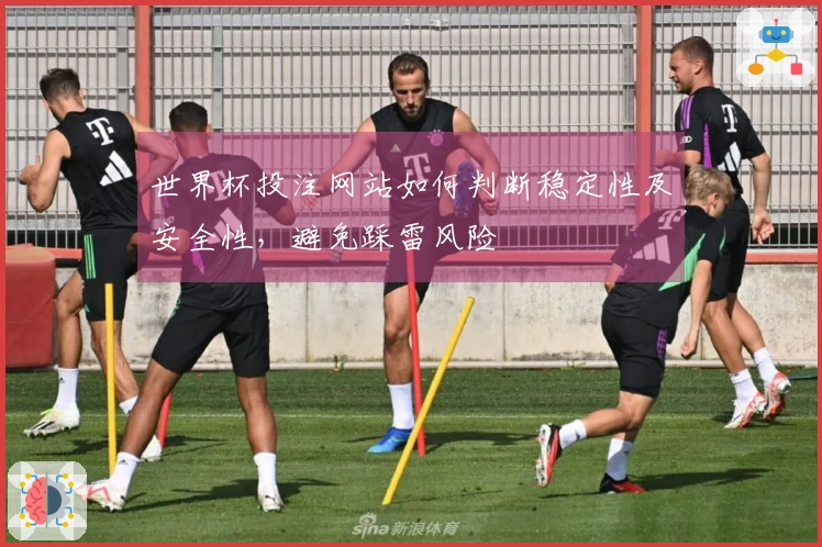 世界杯投注网站如何判断稳定性及安全性，避免踩雷风险