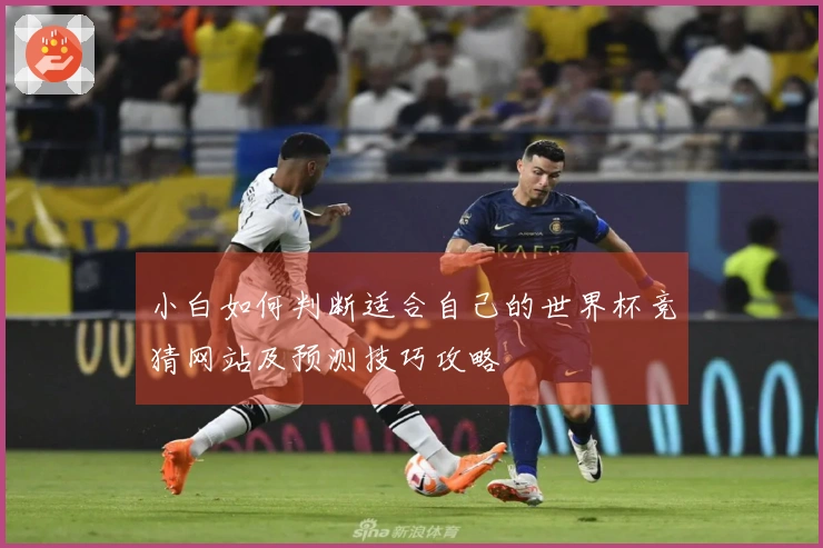小白如何判断适合自己的世界杯竞猜网站及预测技巧攻略