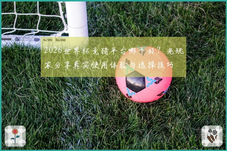 2026世界杯竞猜平台哪个好？老玩家分享真实使用体验与选择技巧