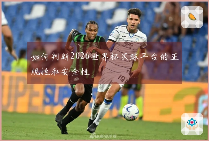 如何判断2026世界杯买球平台的正规性和安全性