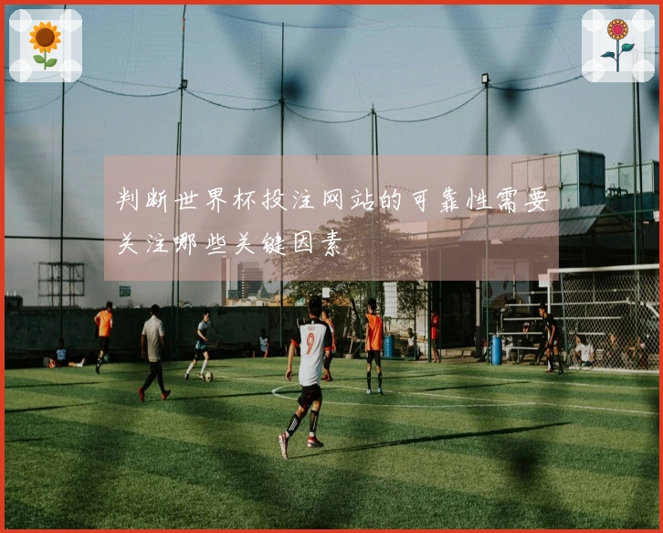 判断世界杯投注网站的可靠性需要关注哪些关键因素