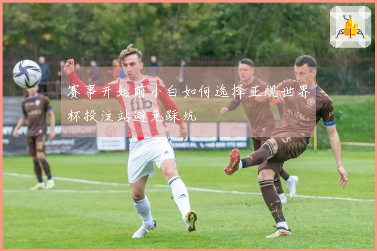 赛事开始前小白如何选择正规世界杯投注站避免踩坑