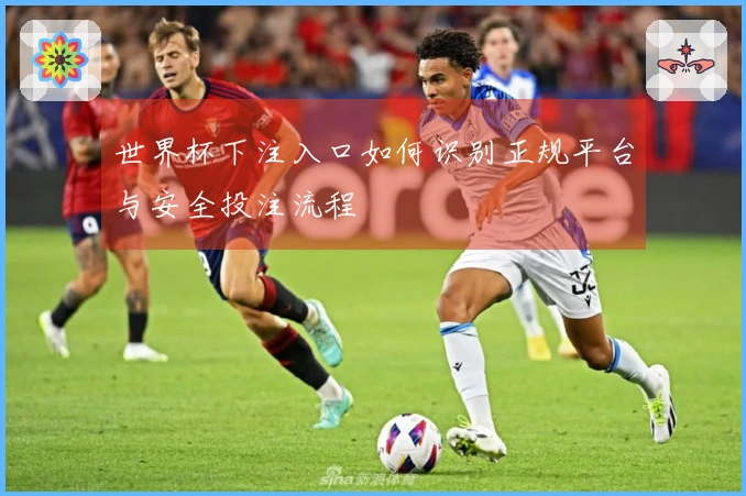世界杯下注入口如何识别正规平台与安全投注流程