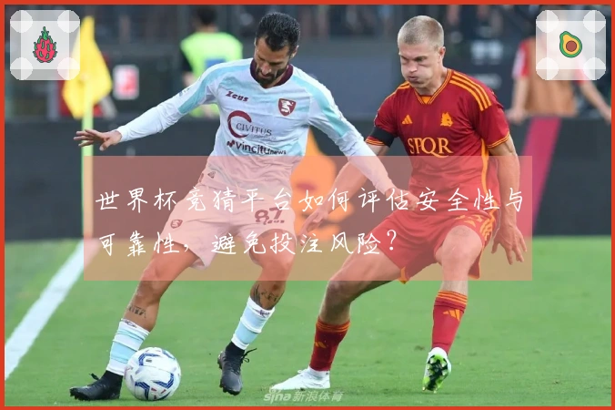 世界杯竞猜平台如何评估安全性与可靠性，避免投注风险？