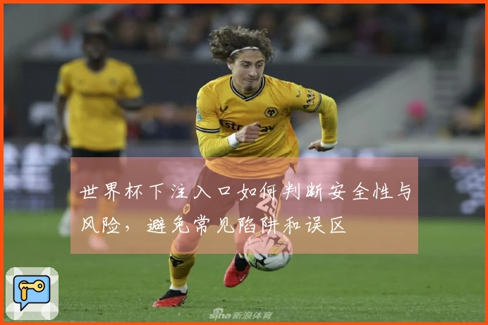世界杯下注入口如何判断安全性与风险，避免常见陷阱和误区