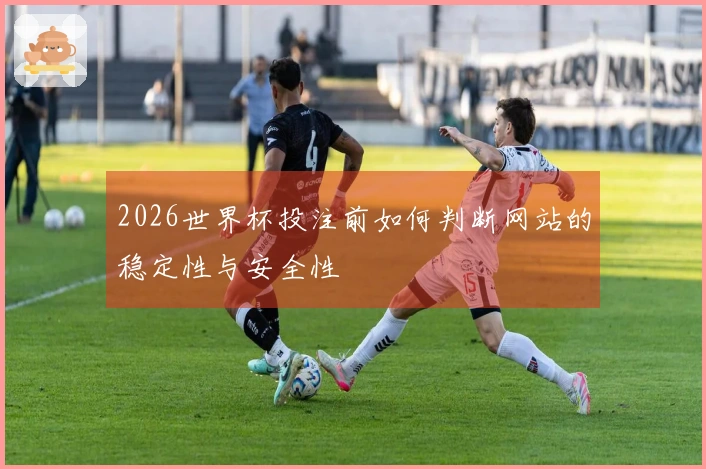 2026世界杯投注前如何判断网站的稳定性与安全性
