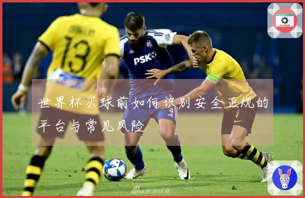 世界杯买球前如何识别安全正规的平台与常见风险