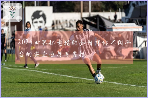2026世界杯竞猜时如何评估不同平台的安全性与可靠性