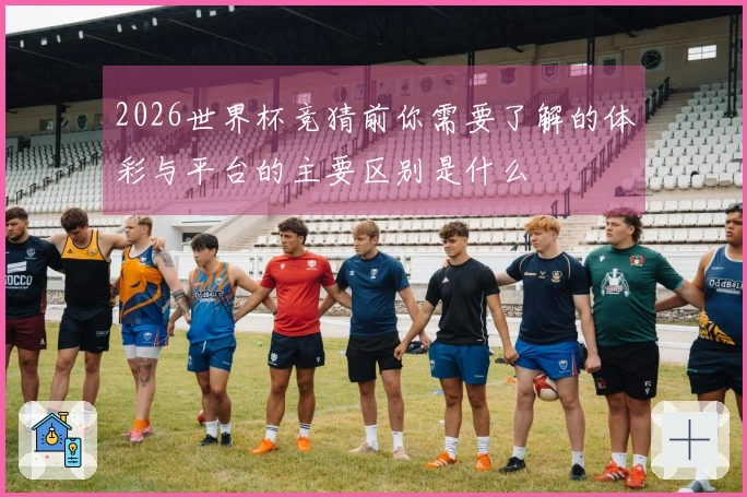 2026世界杯竞猜前你需要了解的体彩与平台的主要区别是什么