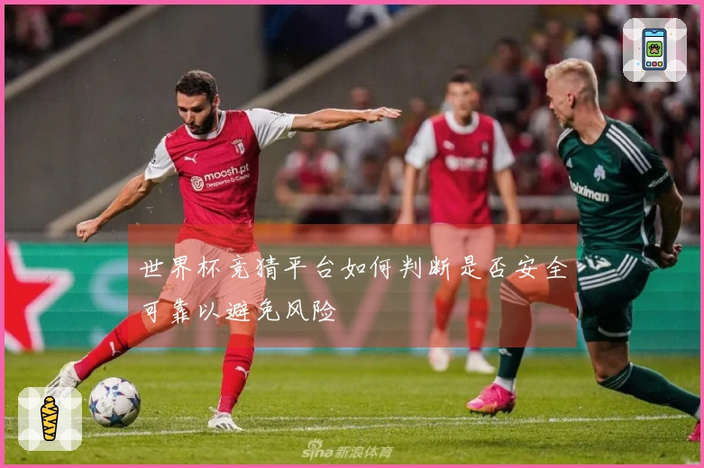 世界杯竞猜平台如何判断是否安全可靠以避免风险