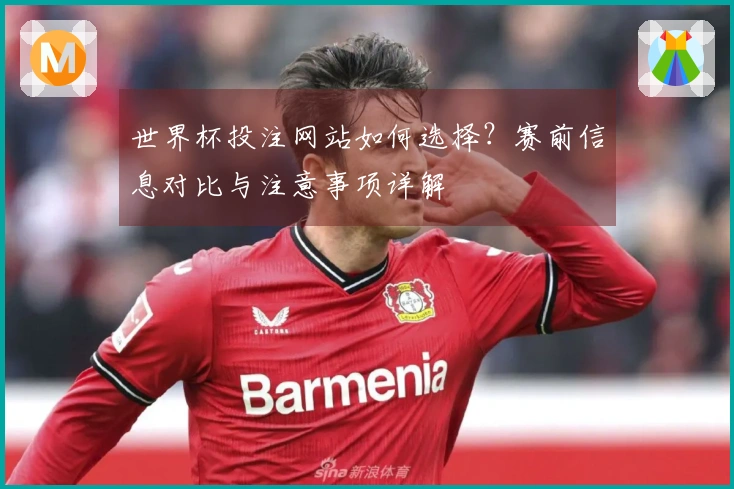 世界杯投注网站如何选择？赛前信息对比与注意事项详解