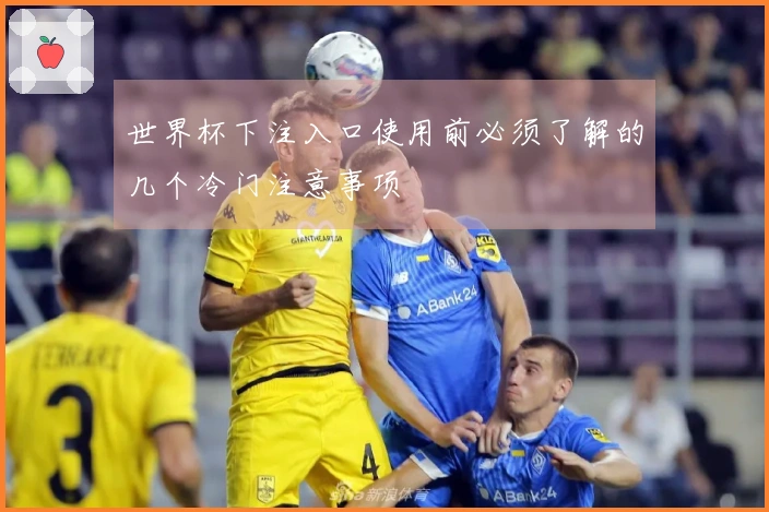 世界杯下注入口使用前必须了解的几个冷门注意事项