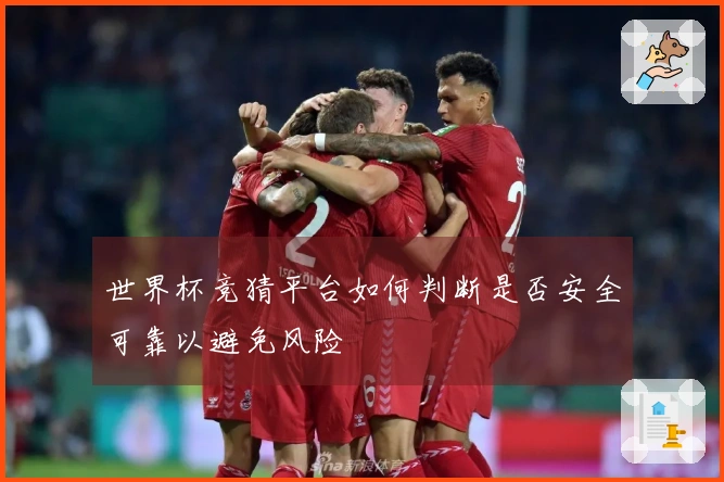 世界杯竞猜平台如何判断是否安全可靠以避免风险