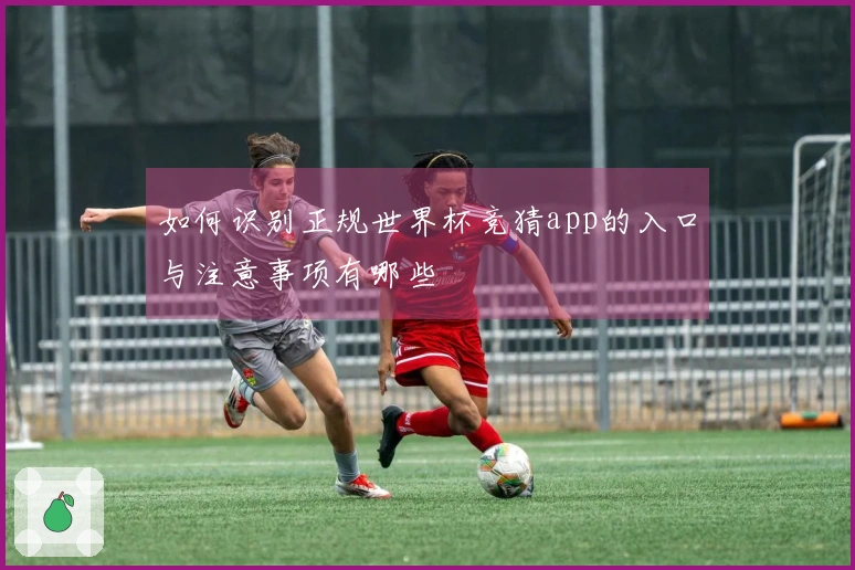 如何识别正规世界杯竞猜app的入口与注意事项有哪些